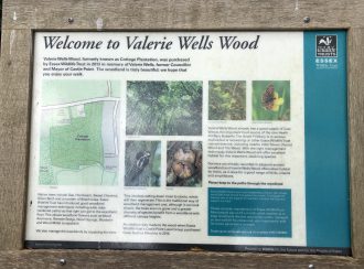 Welcome to Valerie Wells Wood | Graham Cook