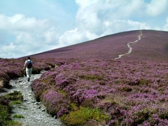 Our Wicklow Heritage