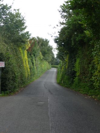 The long driveway to the Martha Frew Home