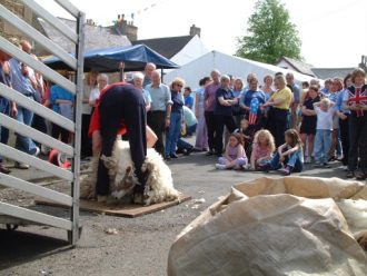 Sheep shearing at Jubilee exhibition