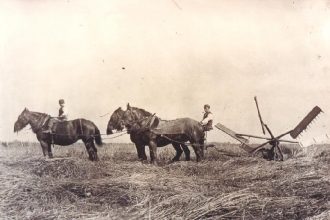 The Farmland Museum, Denny Abbey Community Archive